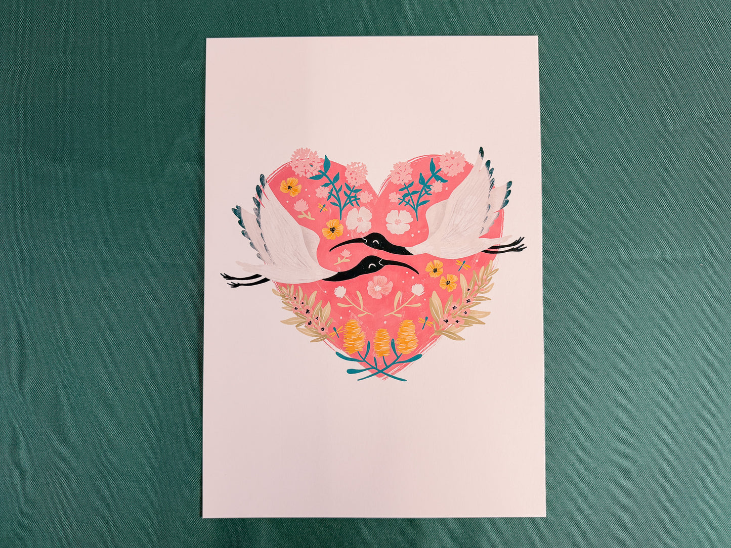 Sweet Ibis Art Print | Australian Wildlife Art Print
