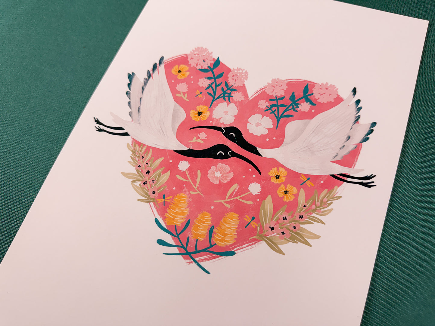 Sweet Ibis Art Print | Australian Wildlife Art Print