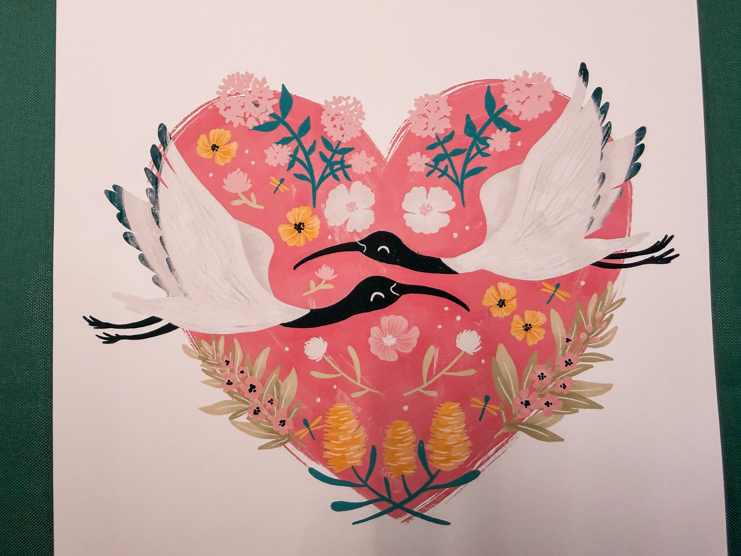 Sweet Ibis Art Print | Australian Wildlife Art Print
