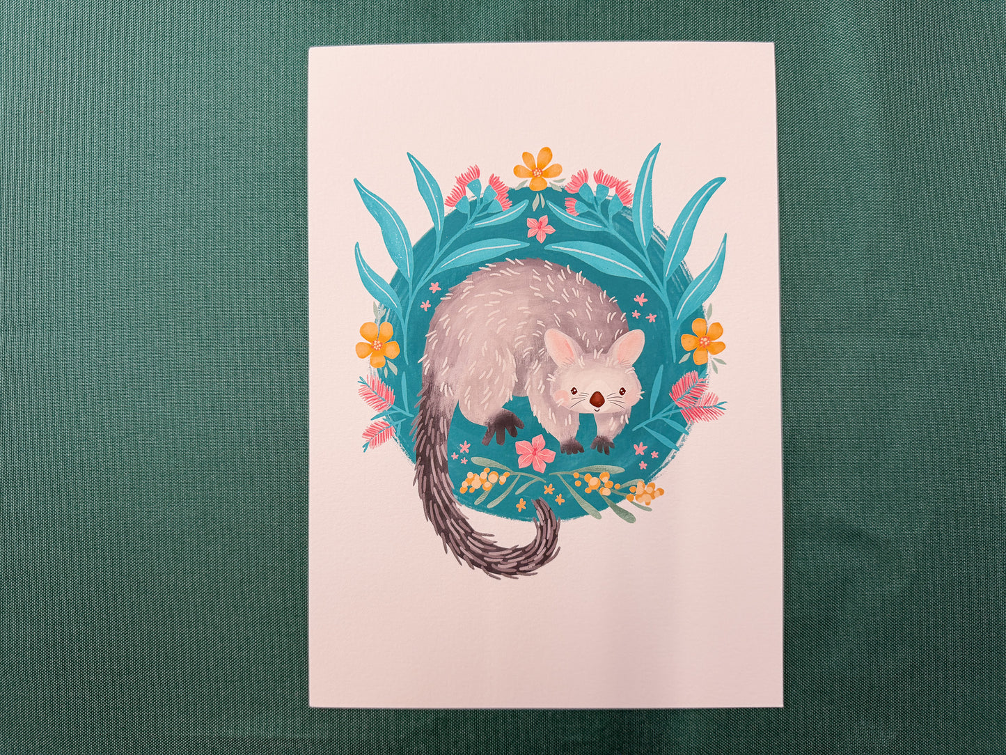 Possum & Flora Art Print | Australian Wildlife Art Print