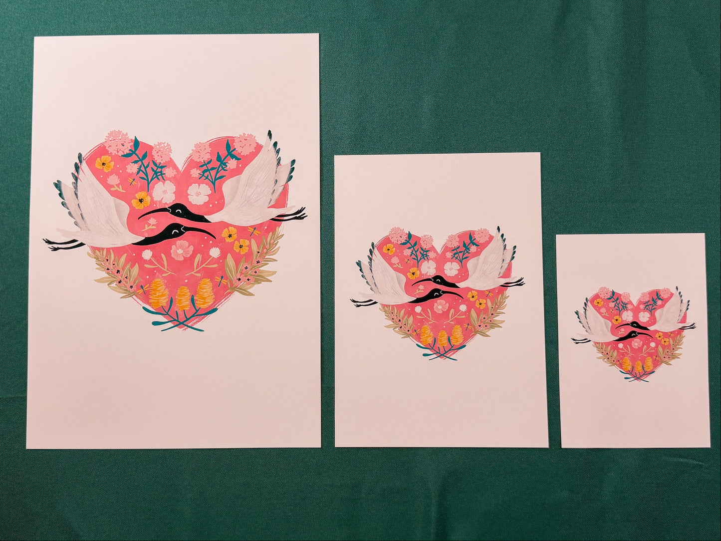 Sweet Ibis Art Print | Australian Wildlife Art Print