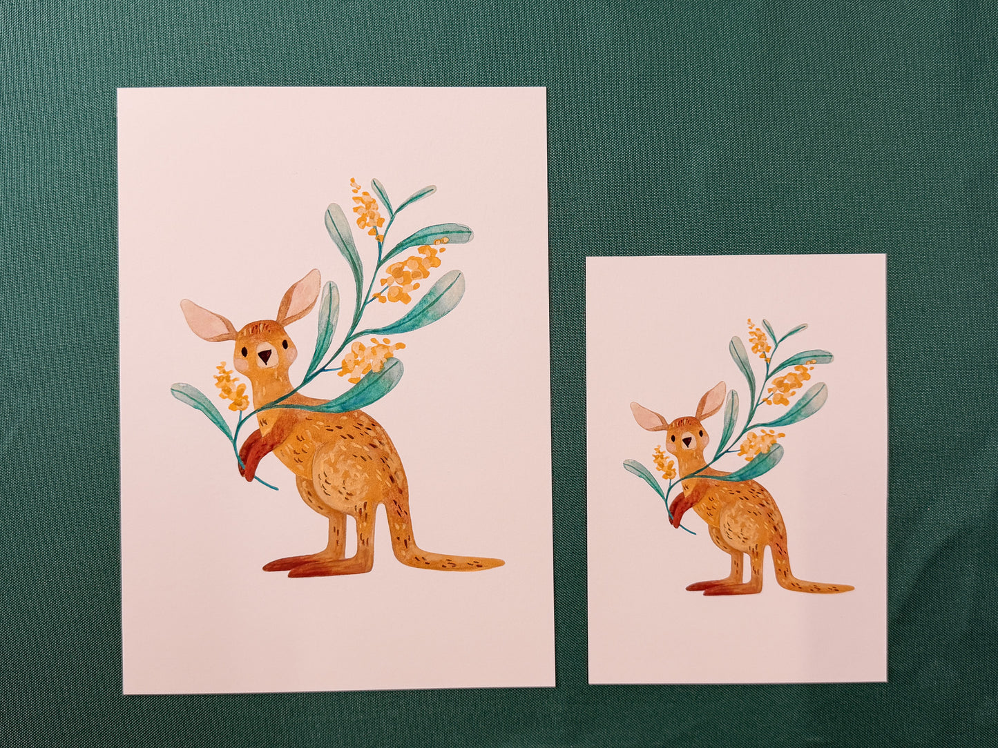 Kangaroo & Wattle Art Print | Australian Wildlife Art Print