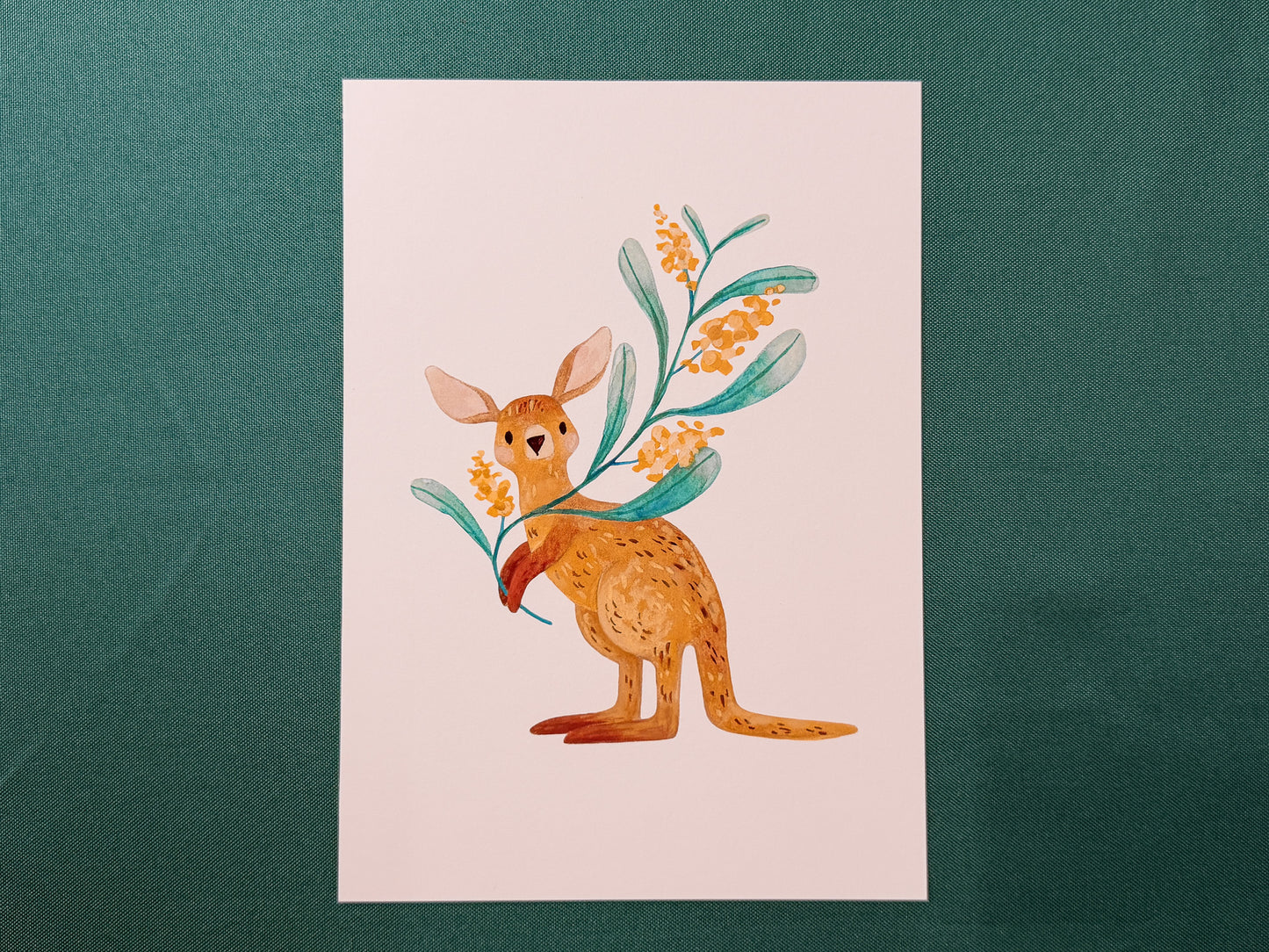 Kangaroo & Wattle Art Print | Australian Wildlife Art Print