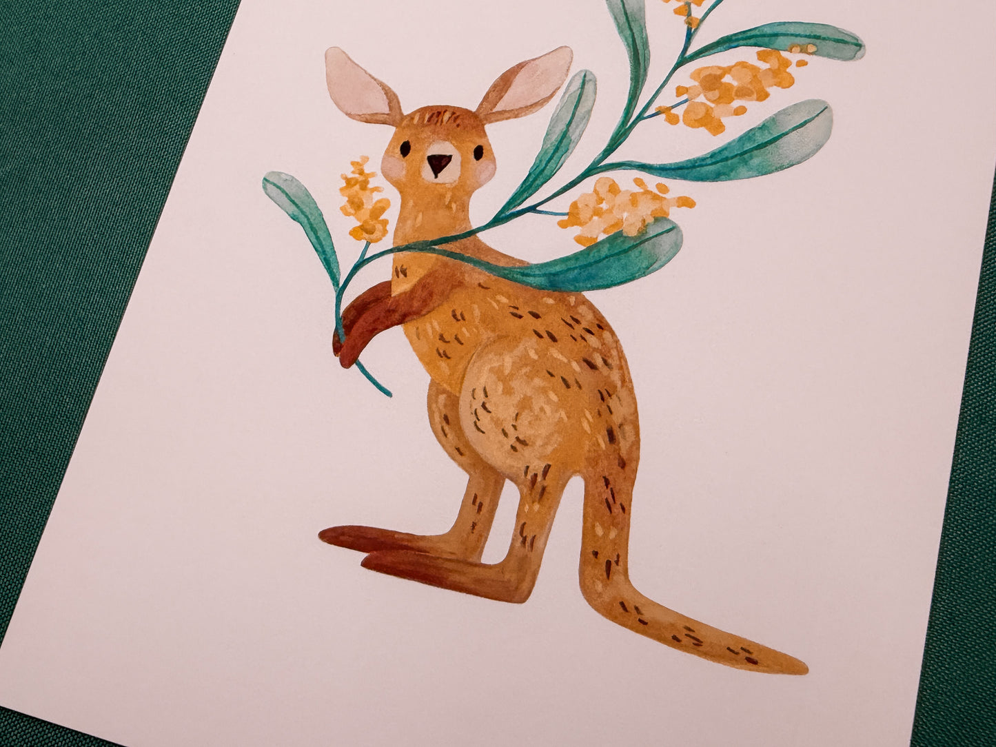 Kangaroo & Wattle Art Print | Australian Wildlife Art Print