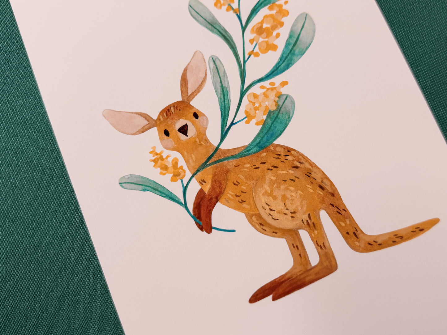 Kangaroo & Wattle Art Print | Australian Wildlife Art Print