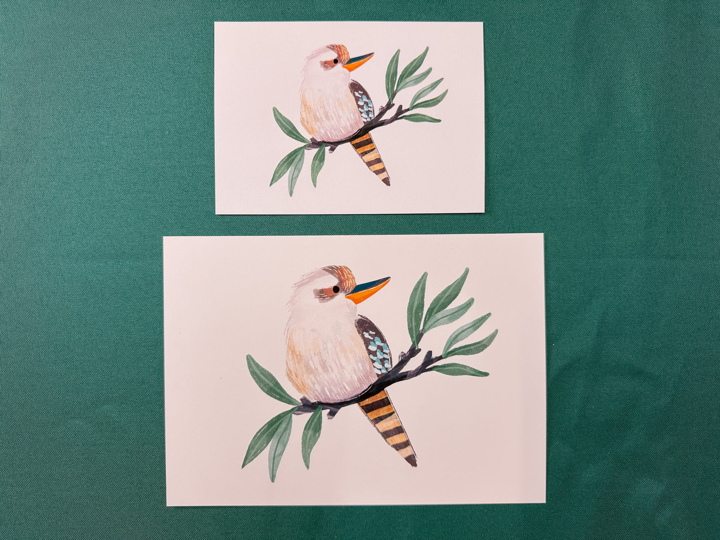Kookaburra Art Print | Australian Wildlife Art Print