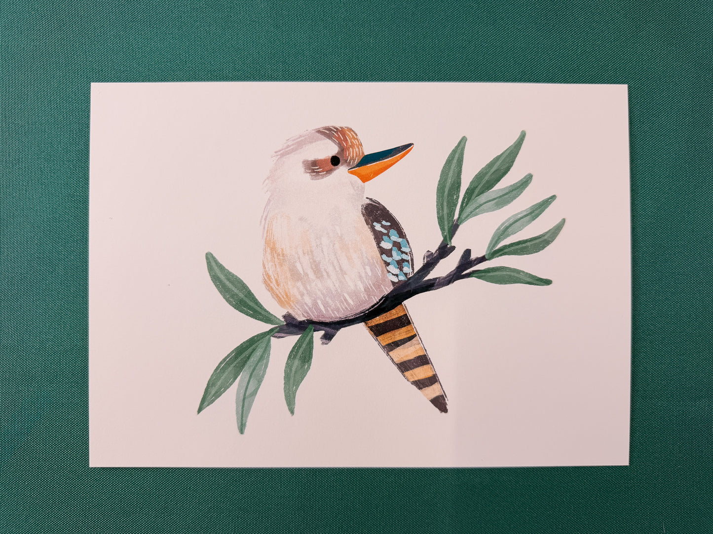 Kookaburra Art Print | Australian Wildlife Art Print