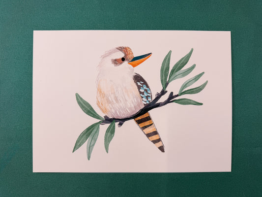 Kookaburra Art Print | Australian Wildlife Art Print