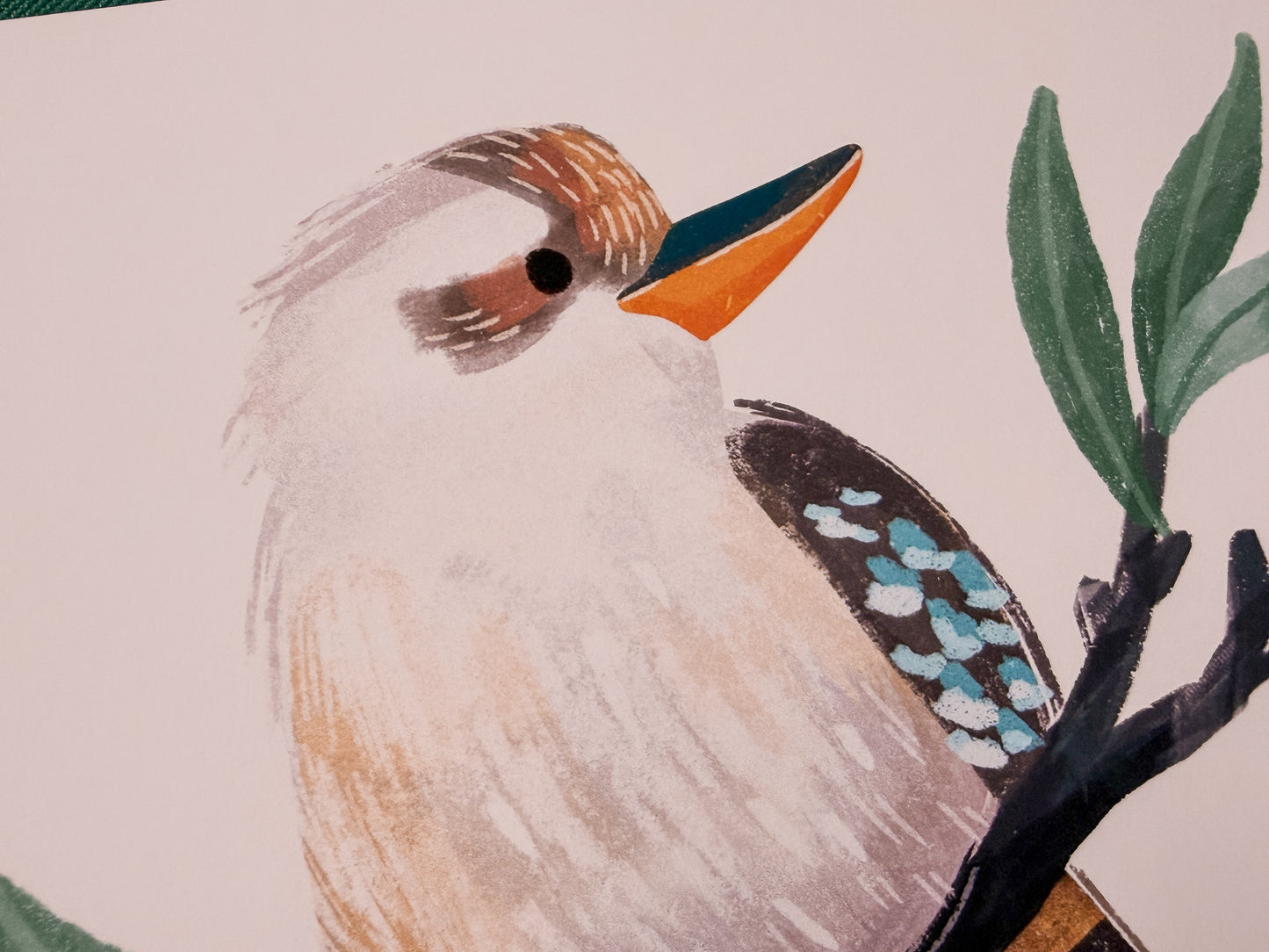 Kookaburra Art Print | Australian Wildlife Art Print