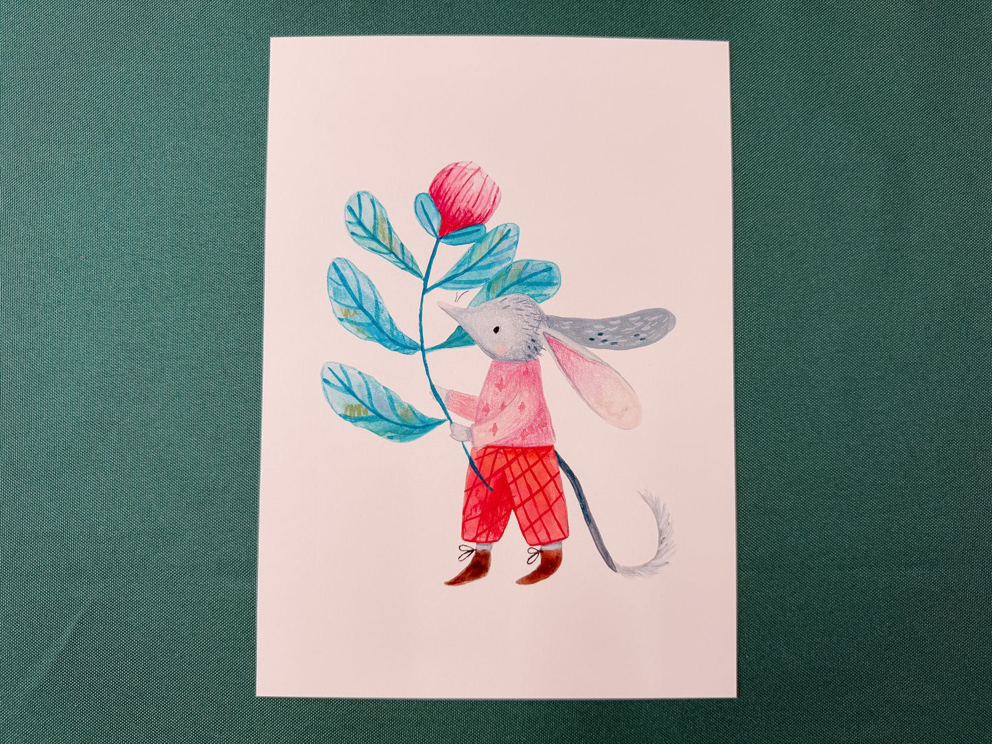 Bilby With a Flower | Australian Wildlife Art Print
