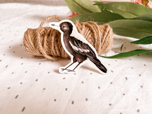 hand drawn australian magpie vinyl sticker