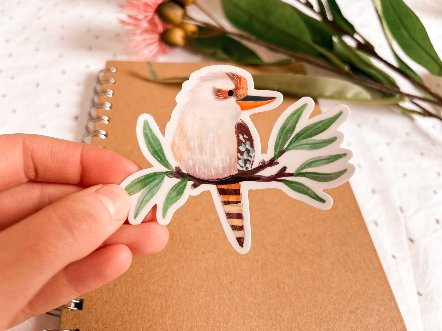 Kookaburra Vinyl Sticker